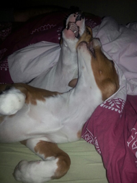 20140131_073221_resized[1].jpg