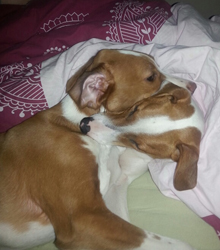 20140131_073307_resized[2].jpg