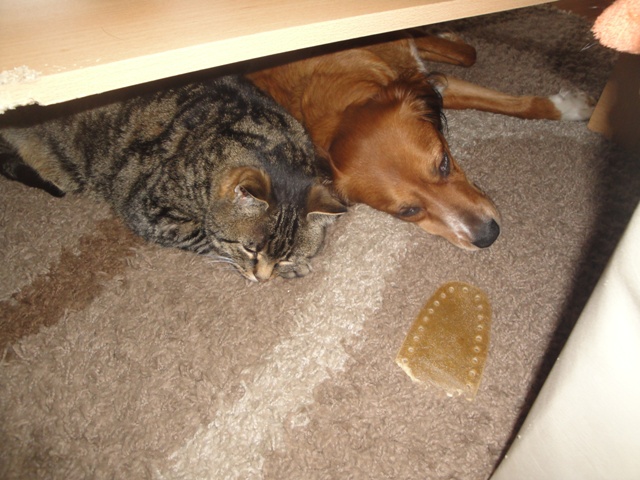 DSC06213.JPG