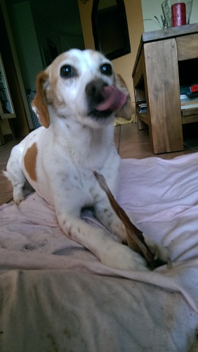 IMAG0587.jpg