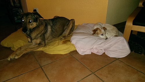 IMAG0601.jpg