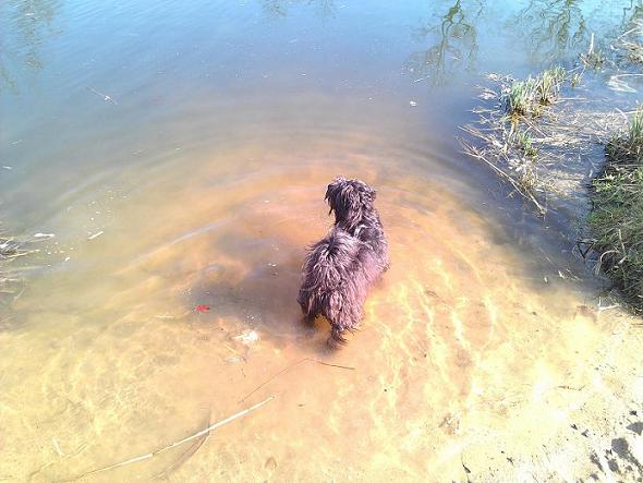 Im Wasser-2.JPG