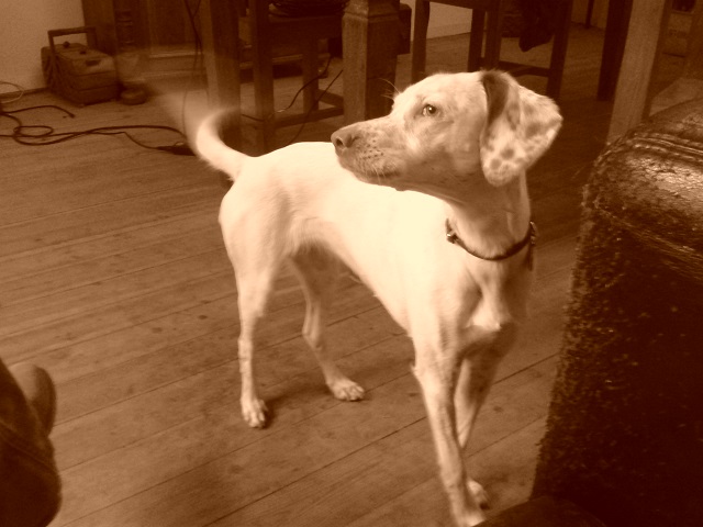 20131026_165748.jpg