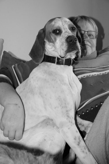 Pippa (15).jpg