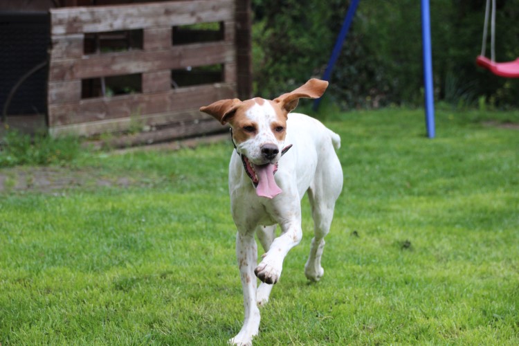 Pippa 18.04 (10).jpg