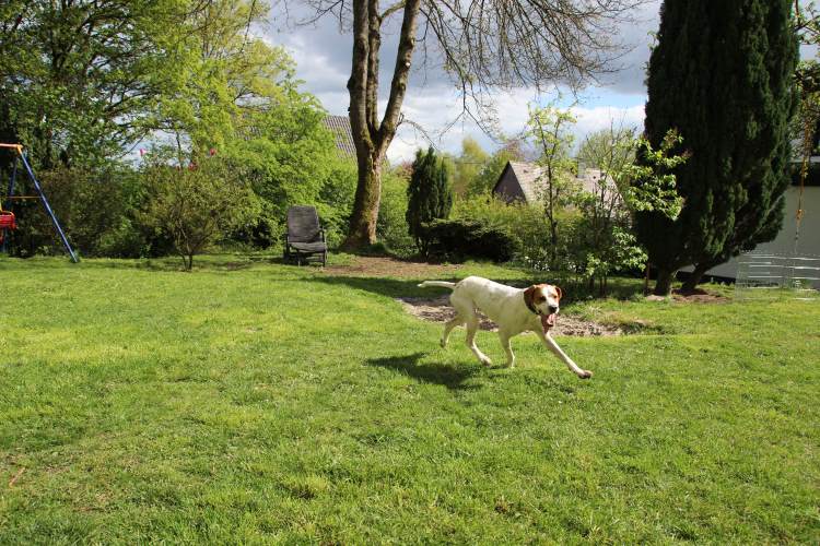 Pippa 18.04 (13).jpg