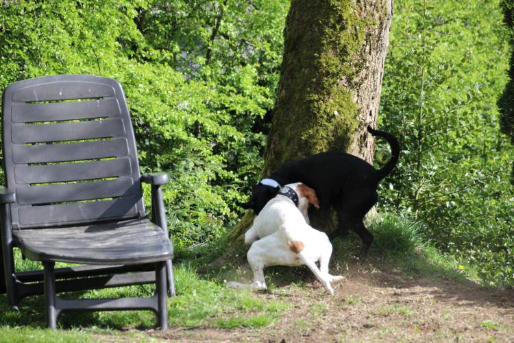 Pippa 18.04 (14).jpg