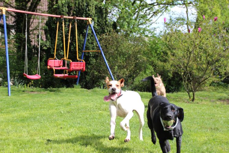 Pippa 18.04 (16).jpg