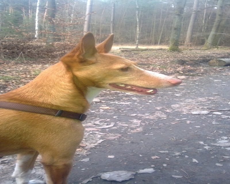 WP_20140316_010.jpg