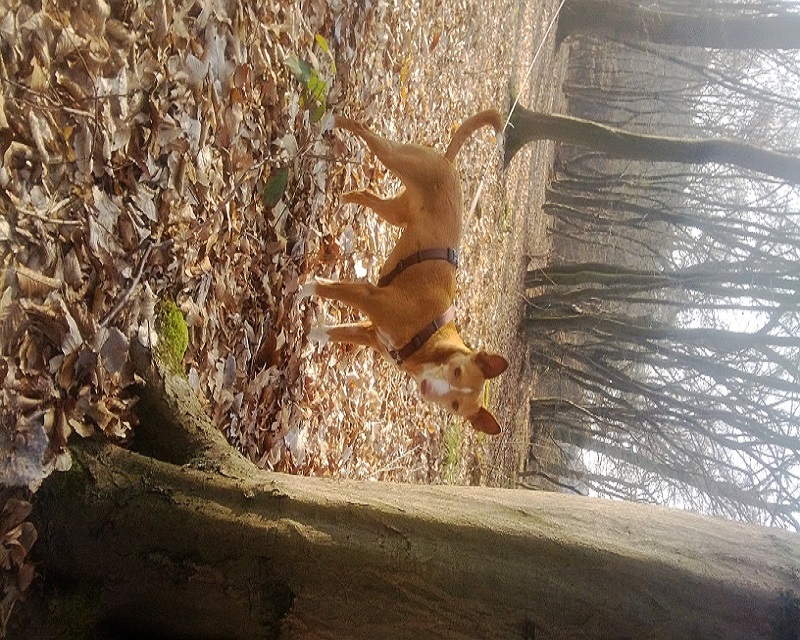 WP_20140313_023.jpg