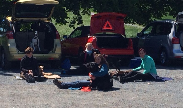 IMG-20140503-WA0001.jpg