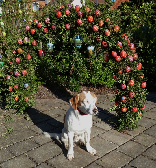 Am Osterbrunnen.JPG