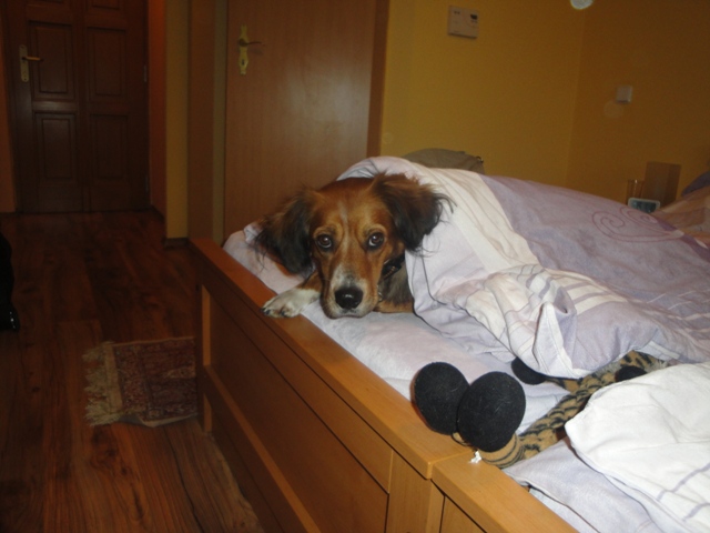 DSC06294.JPG