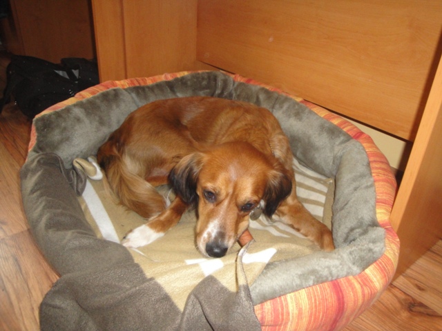 DSC06298.JPG