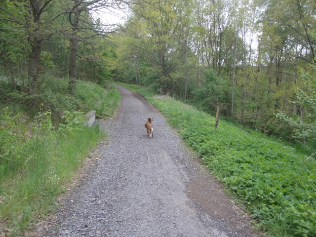 DSC06299.JPG