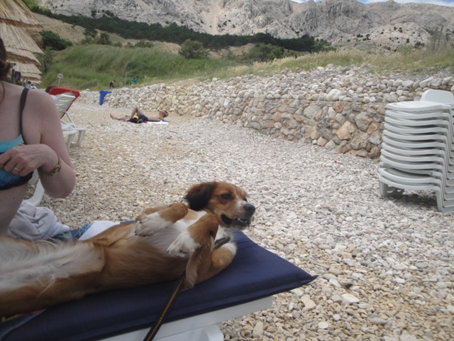 DSC06453.JPG