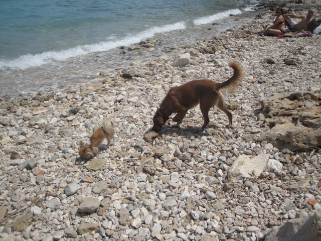 DSC06614.JPG
