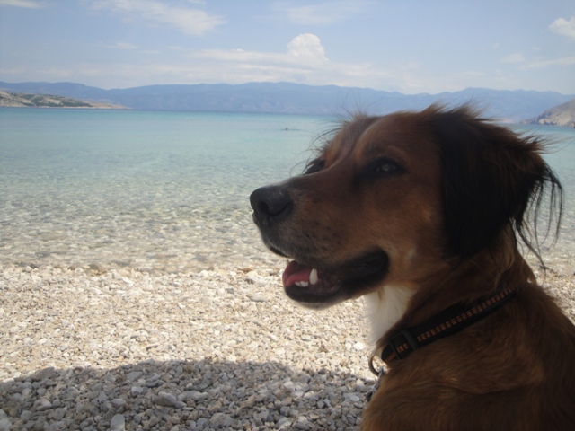 DSC06499.JPG