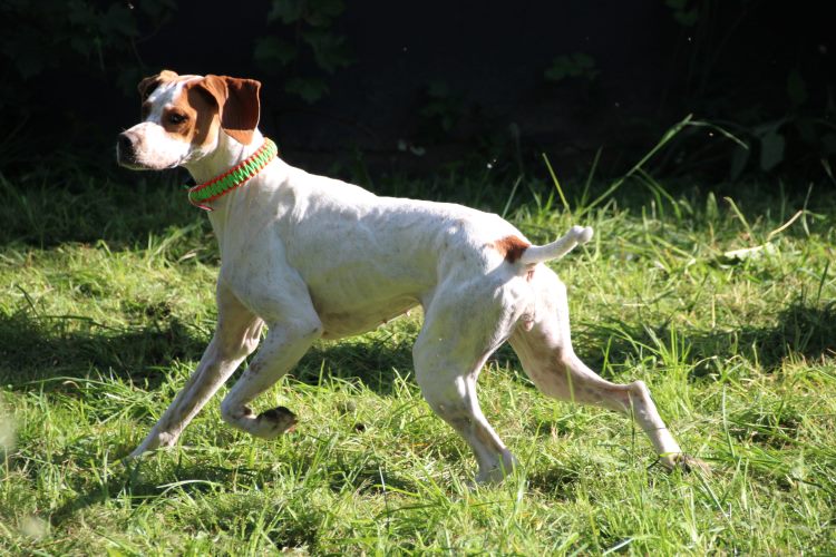 02.07 Pippa.jpg
