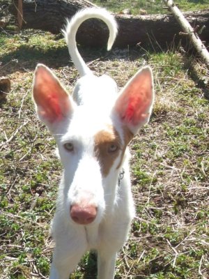 DSCF7880.JPG