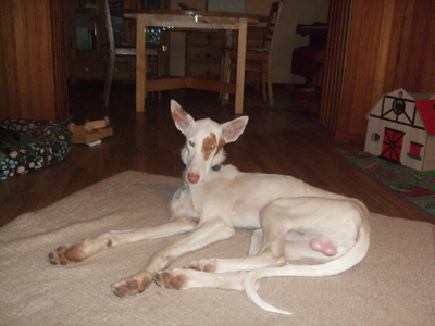 DSCF9113.JPG