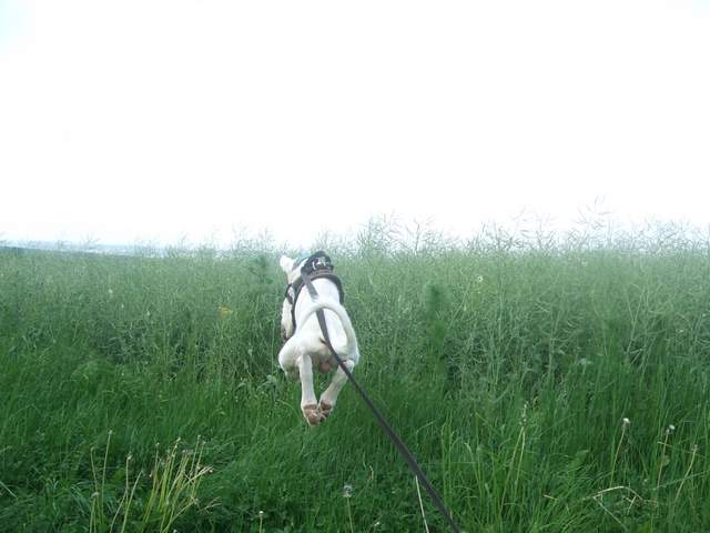 DSCF9937.JPG