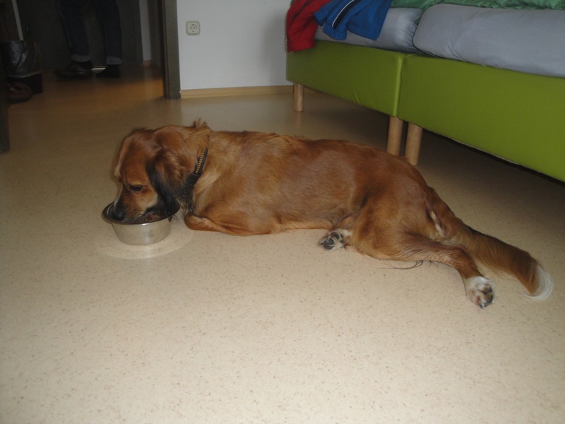 DSC06755.JPG