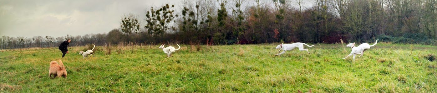 72dpi_IMG_5512-PANO.jpg