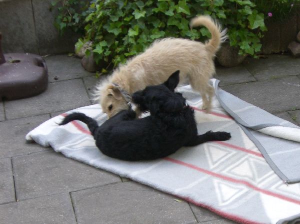 PeggyGlück004.jpg