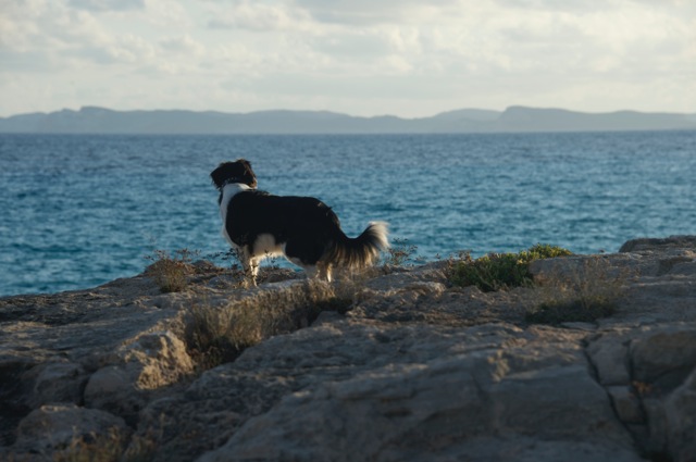 Ciela Strand.jpg