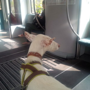 IMG-20150426-WA0011_Bildgröße ändern.jpg