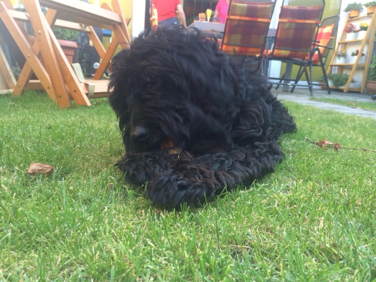 IMG-20150702-WA0001.jpg