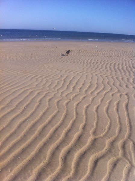 texel1.jpg