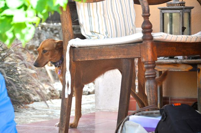 DSC_9642.jpg