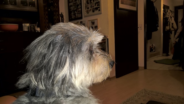 WP_20151112_23_50_23_Pro.jpg