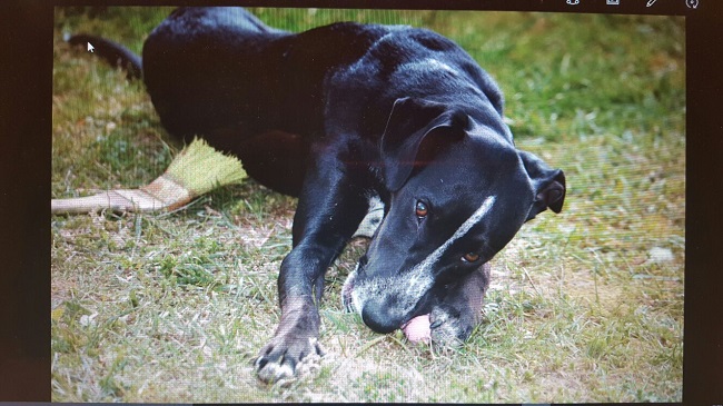 oskar4.jpg