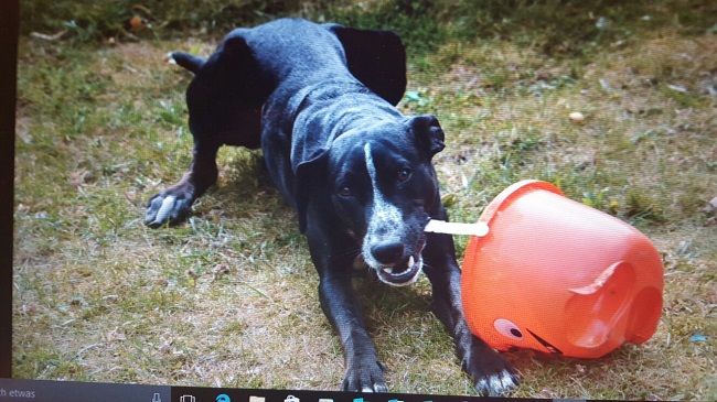 oskar6.jpg
