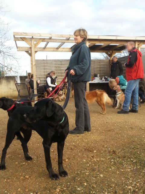 Hundeplatz.jpg