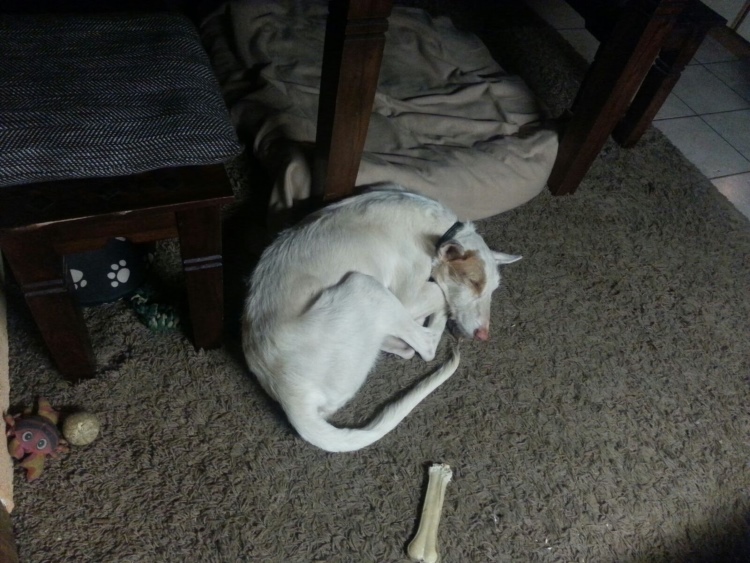 IMG-20160212-WA0050.jpg
