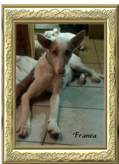Franca.JPG