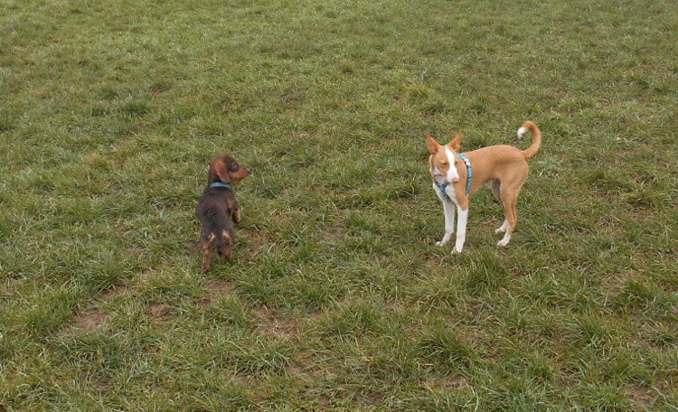 DSCN4957.JPG