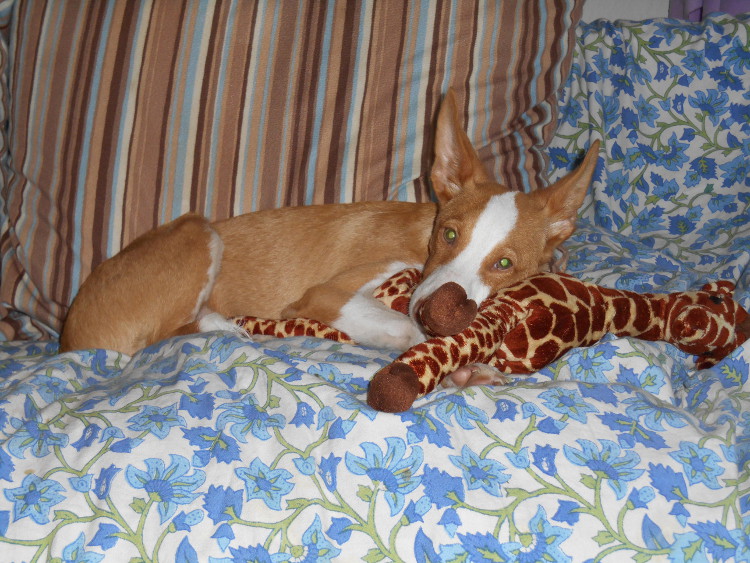 DSCN4935.JPG