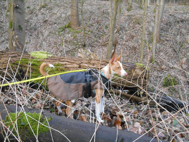 DSCN4946.JPG