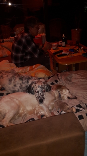 20160213_185610.jpg