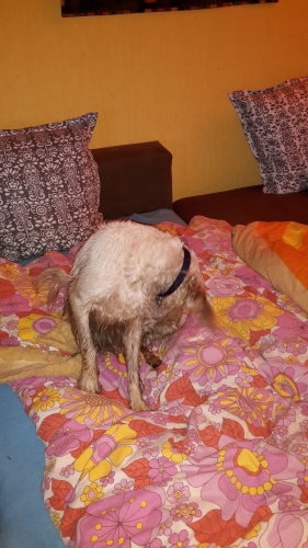 20160211_165511.jpg