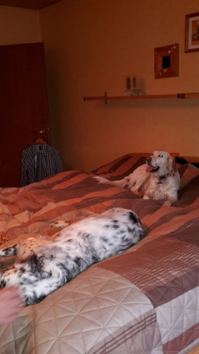 20160211_144755.jpg