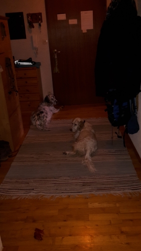 20160211_123816.jpg