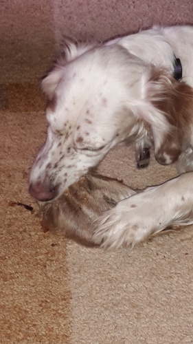 20160211_105958.jpg