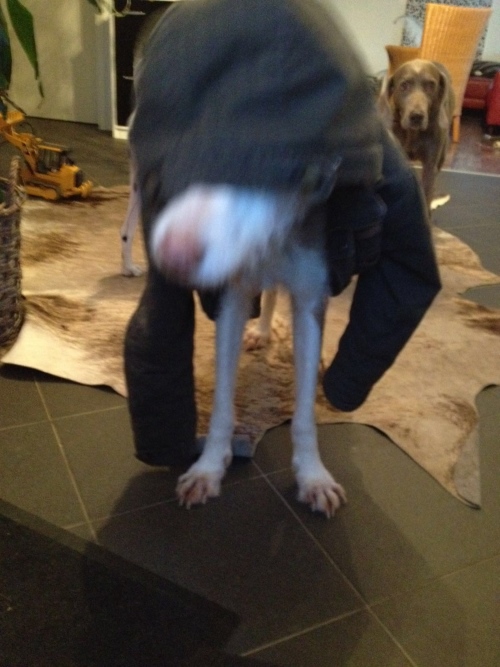 IMG-20160307-WA0057_2.jpg