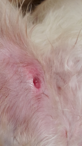 20160410_173750.jpg